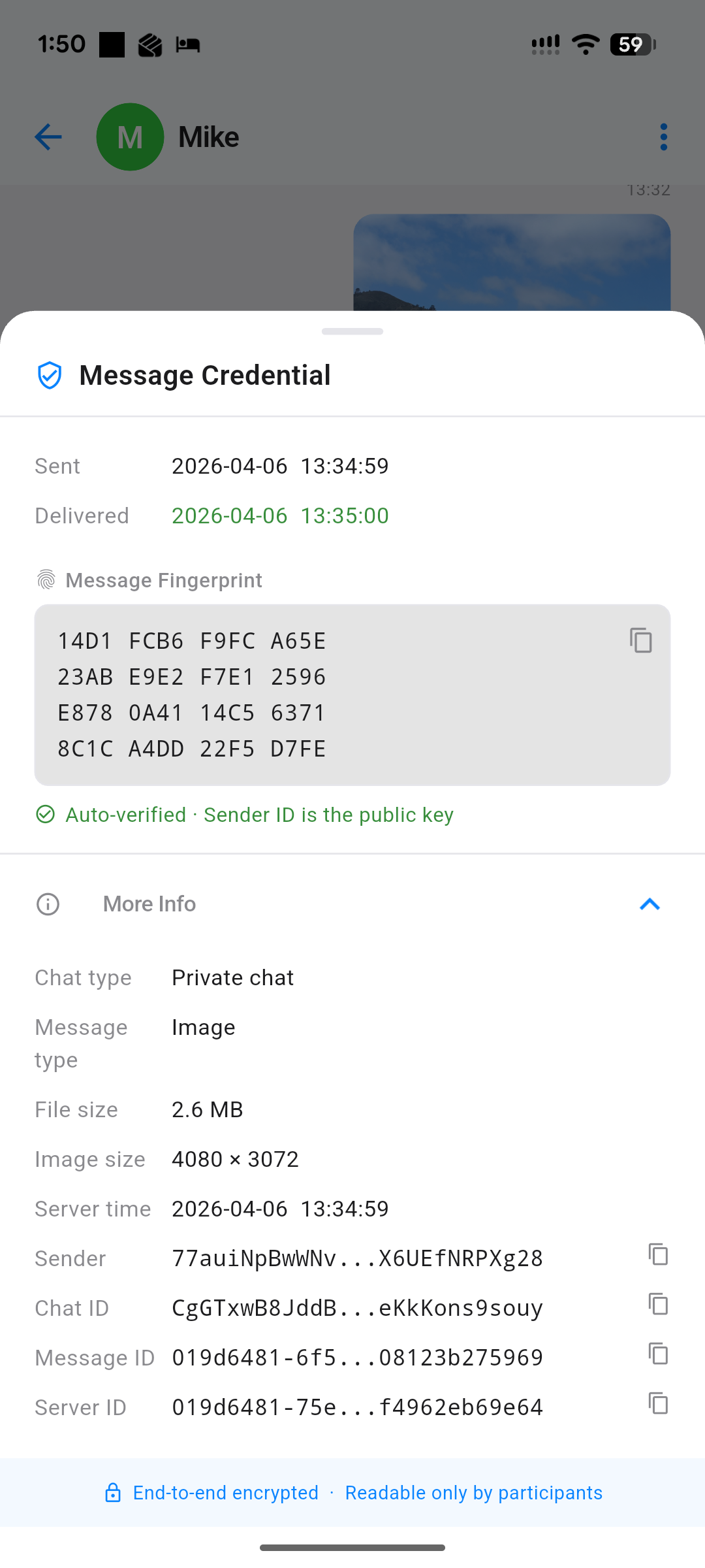 BlindPost message credential